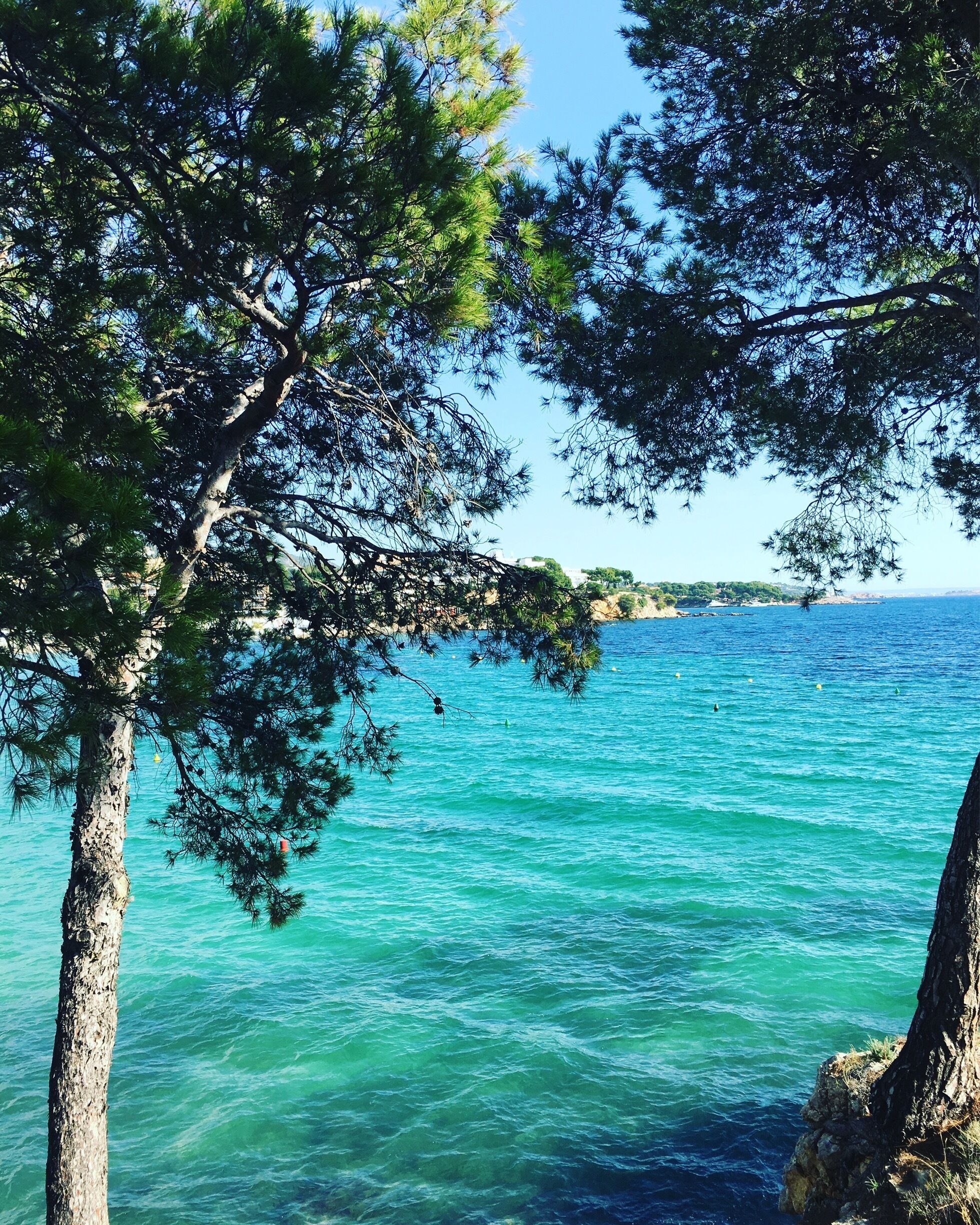 Palmanova. Mallorca. 