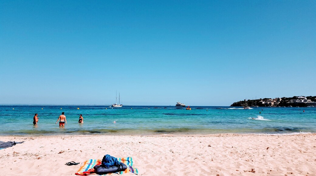 Palmanova is not so far from Palma de Mallorca and you could find a nice beach and a lot of beach volley fields !