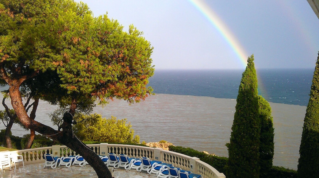 ĐŃĐ”Đ»Ń Ponent Mar