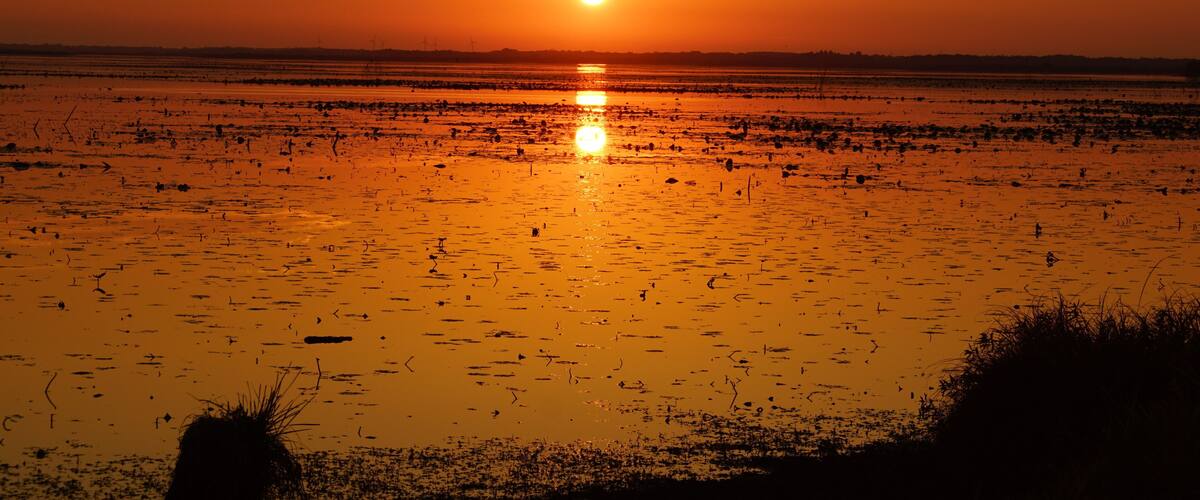 A sunset over a flooded landscape with the sun low on the horizon.
