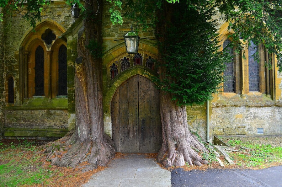 Quintessentially magic!