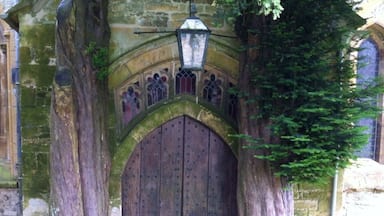 Um arco de pedra com uma porta de madeira, cercado por árvores grandes.