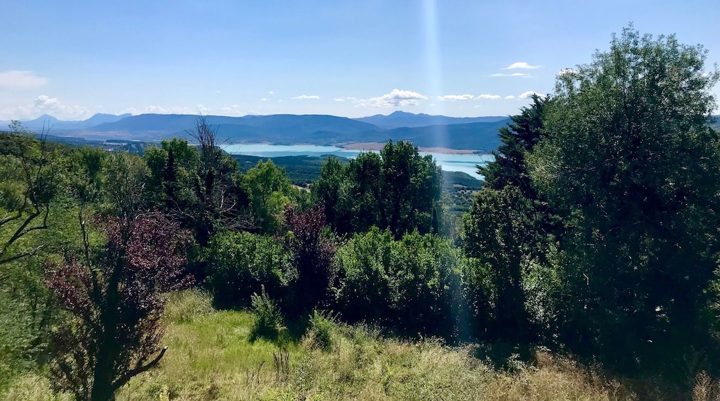 The Monestary of Leyre is worth visiting for the view alone. Located on a mountain top, you get a beautiful view of the Spanish countryside.