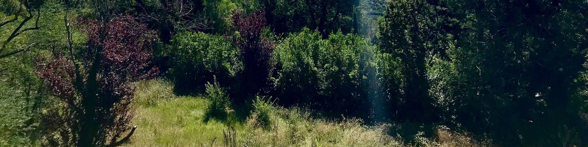 The Monestary of Leyre is worth visiting for the view alone. Located on a mountain top, you get a beautiful view of the Spanish countryside.