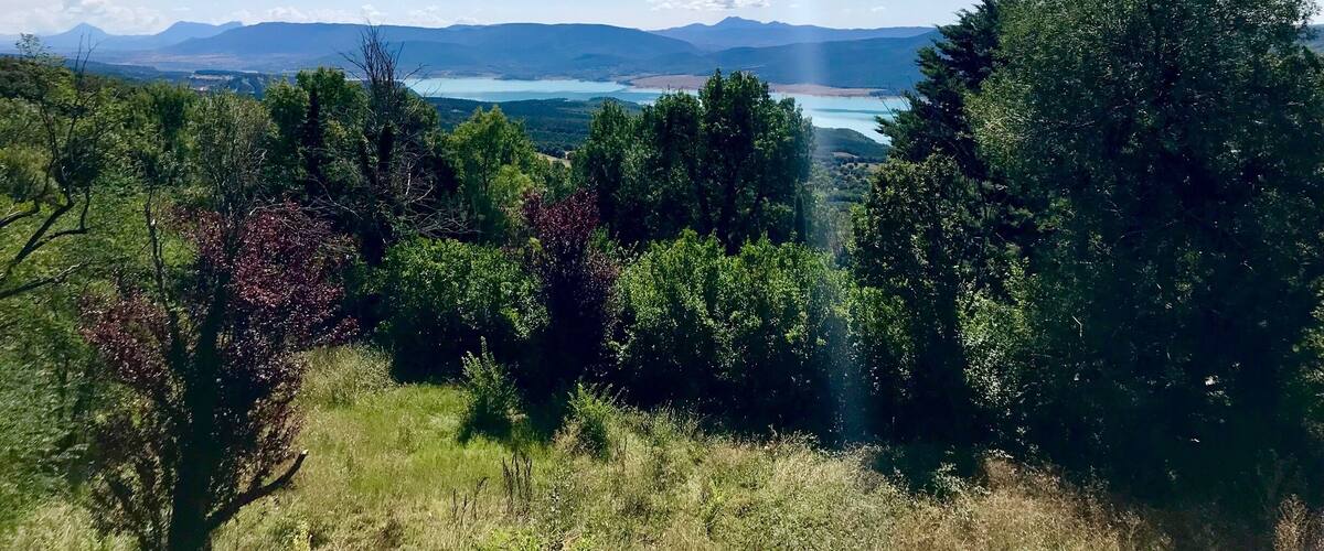 A landscape with a lake, mountains, and dense trees.