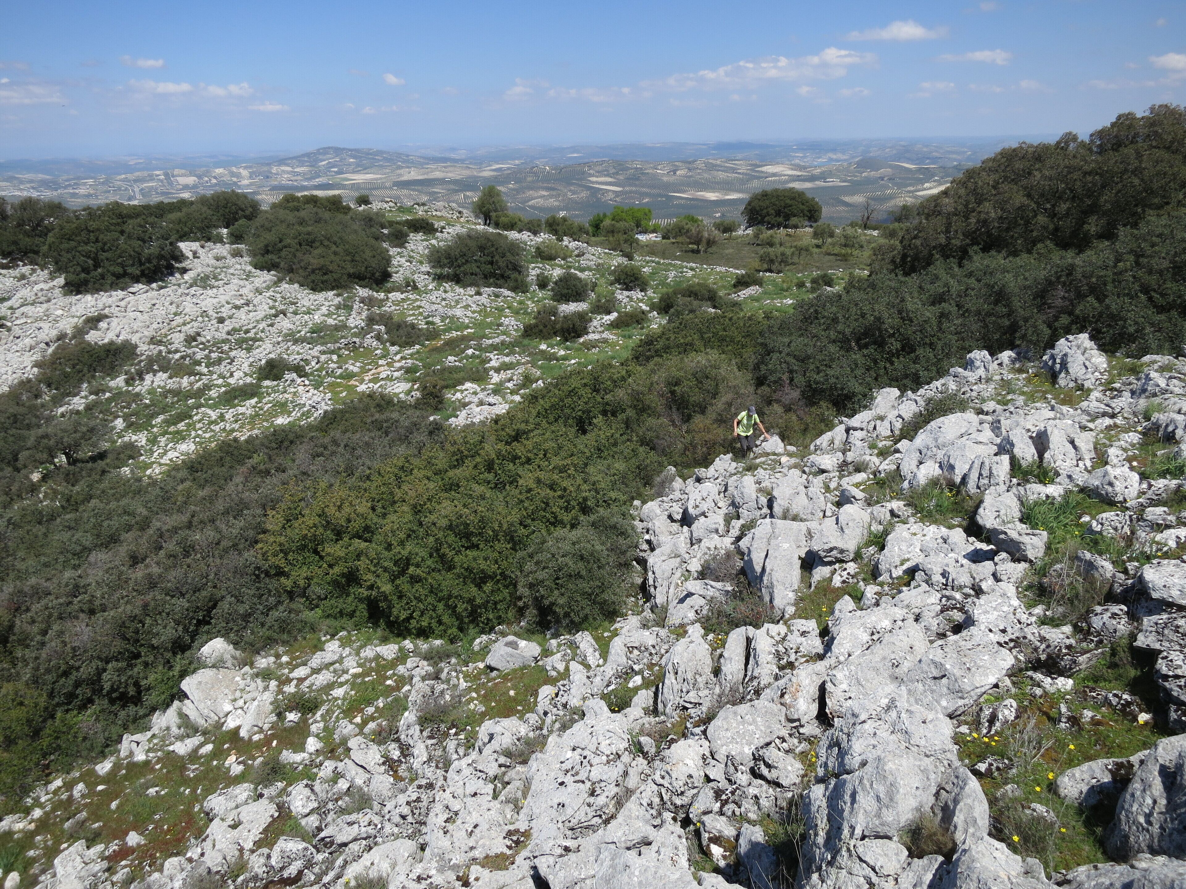A rocky landscape with sparse vegetation and distant hills.