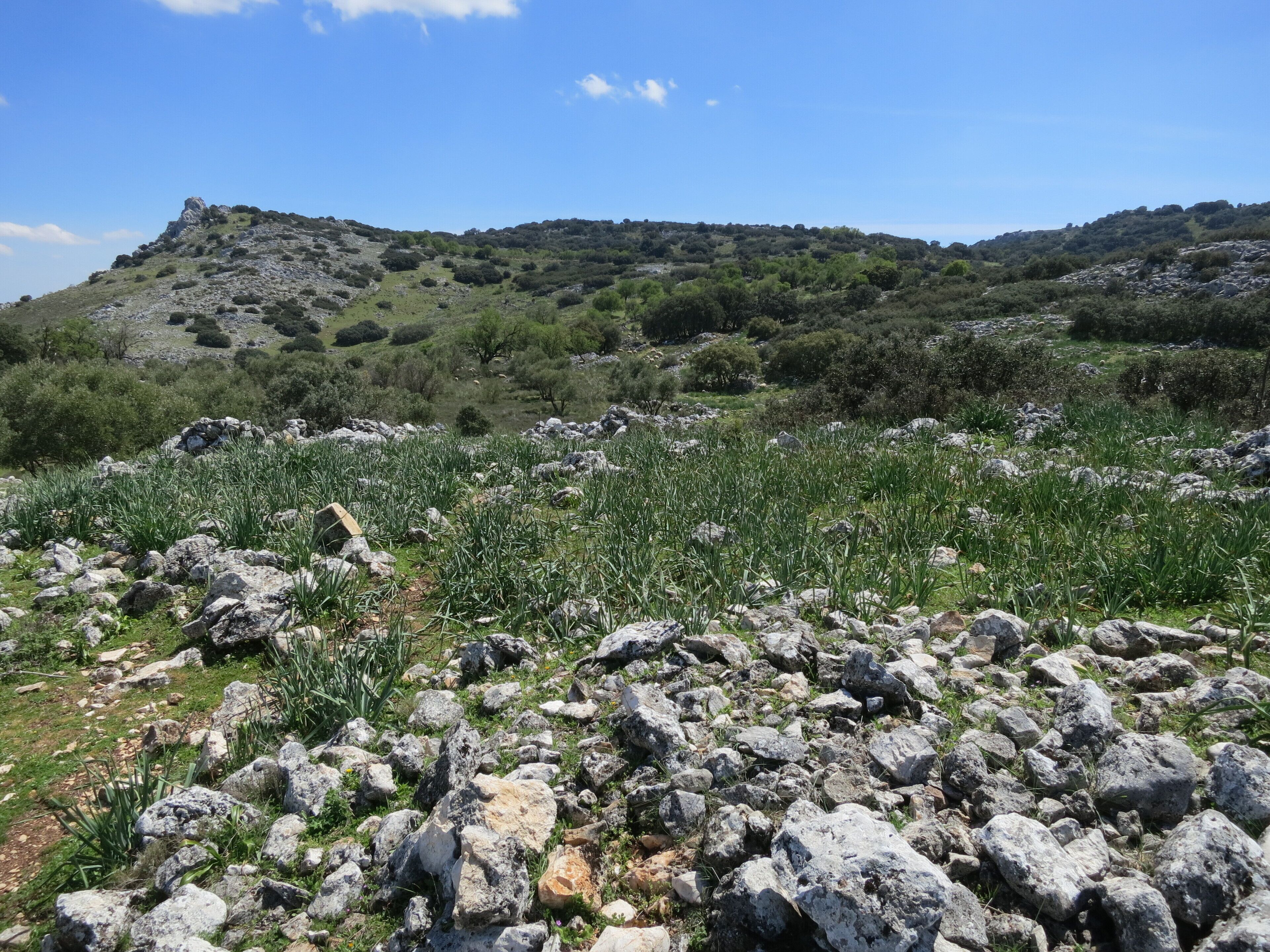 Sierras Subbéticas Natural Park