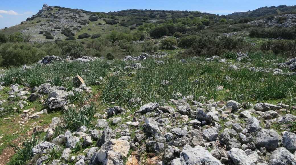 Sierras Subbéticas Natural Park
