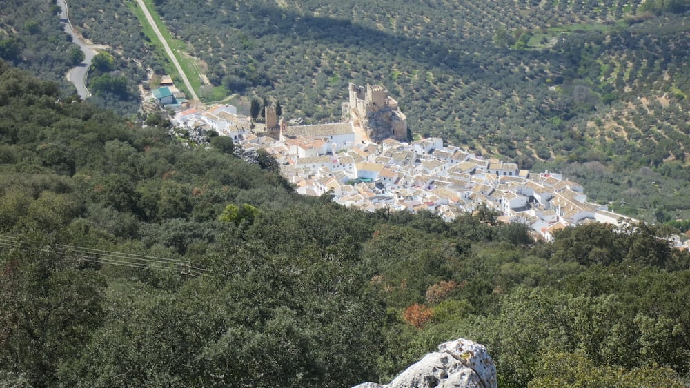 A historic town with a prominent castle surrounded by olive groves and a winding road.