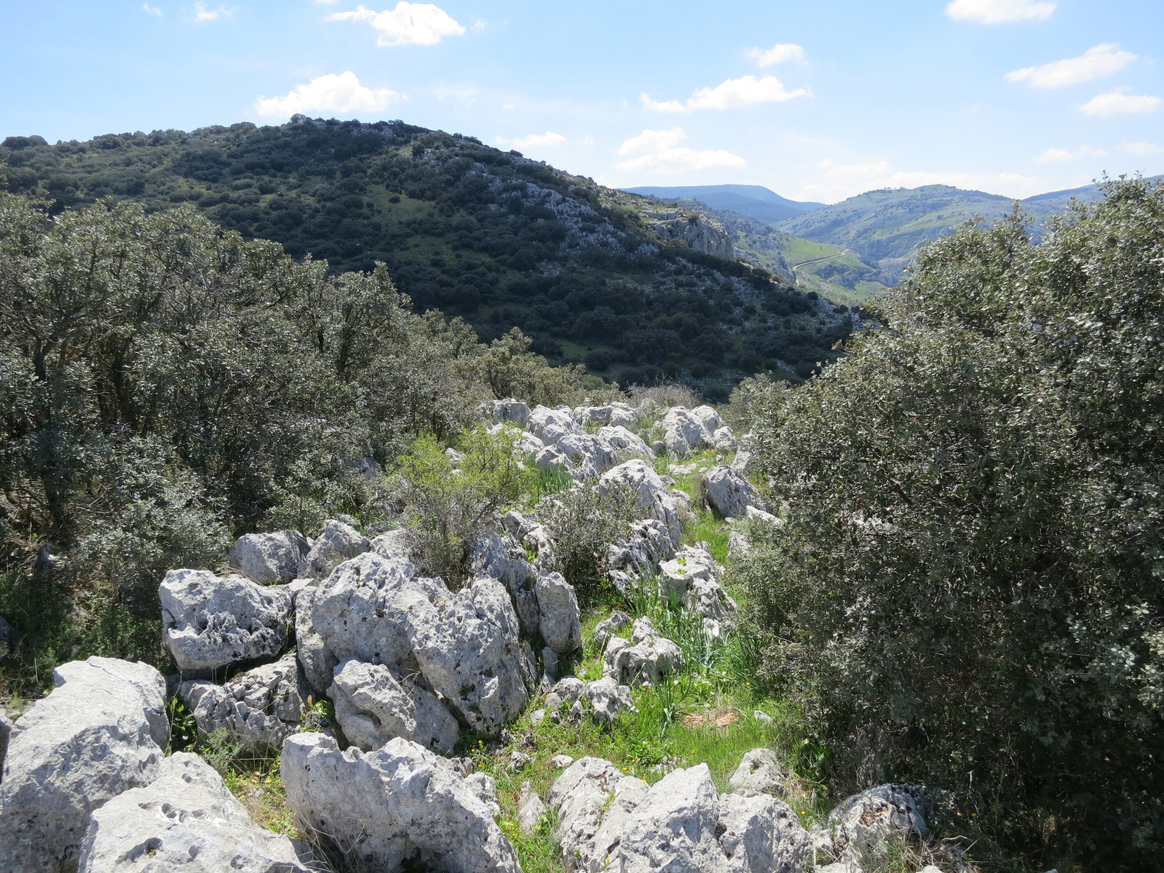 Sierras Subbéticas Natural Park