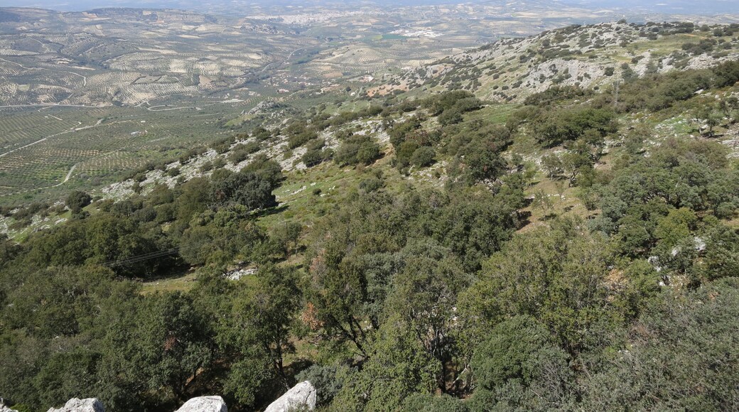 Sierras Subbéticas Natural Park