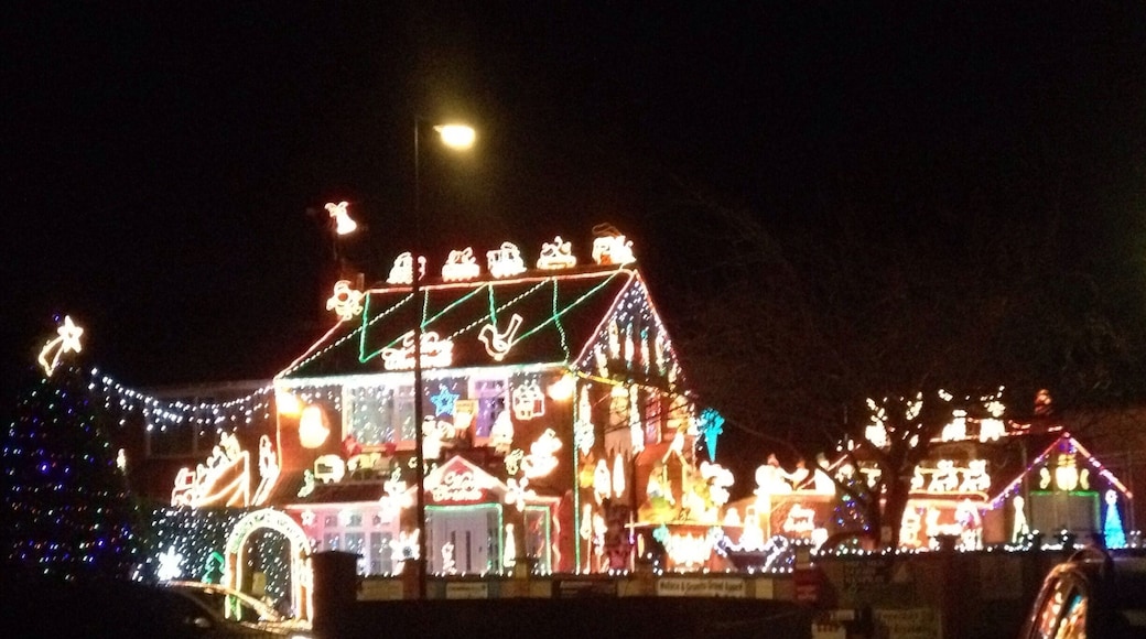 This residential house is decorated with the maddest, most over the top Christmas lights I've ever seen. Apparently they do it every year. It's worth a visit for the sheer madness :)