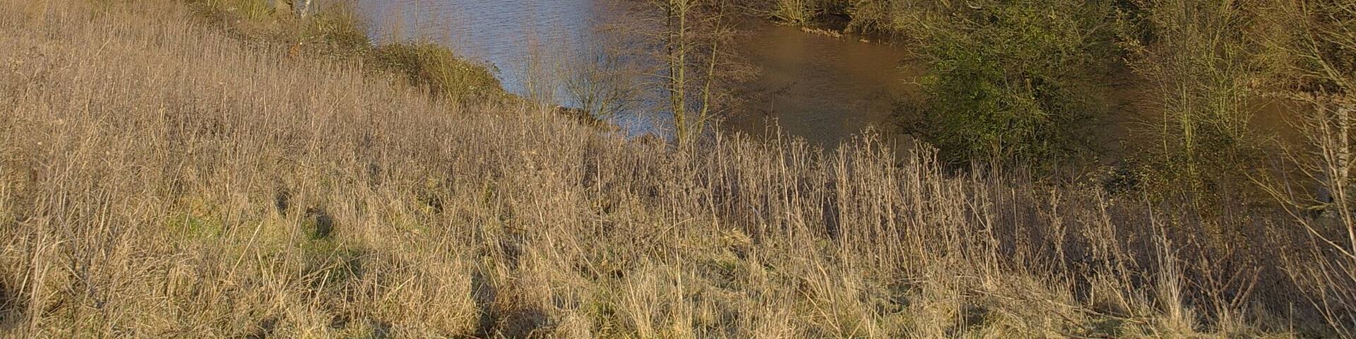 Ham Green Lake near the site of the old Ham Green Halt on the Portishead Branchline.