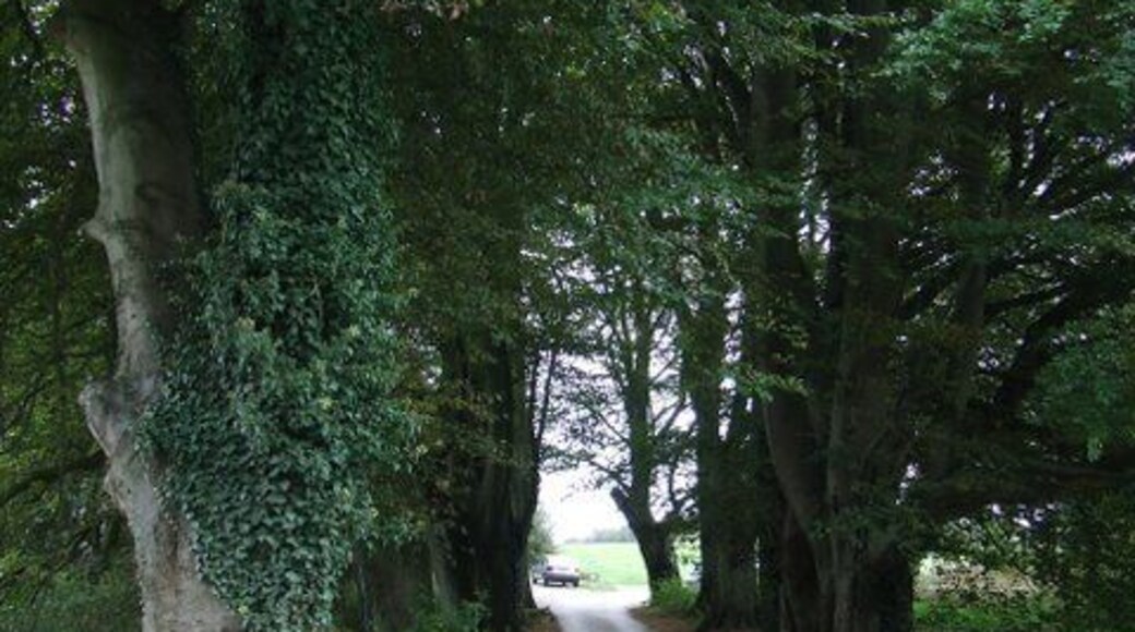 Lane to St Katherines Church Viewed from West Lane. Also leads to Felton Common.