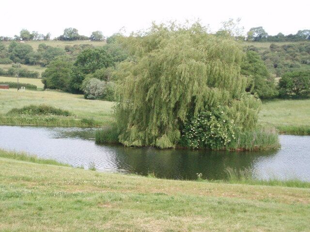 Cameley Lakes. There are three lakes in total, all fed by springs that run down from the Mendip Hills. The lakes were constructed in the 1970s so are a recent addition to the landscape. They are privately owned and stocked with fish for anglers.
