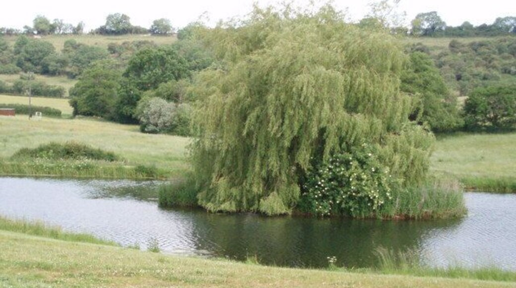 Cameley Lakes. There are three lakes in total, all fed by springs that run down from the Mendip Hills. The lakes were constructed in the 1970s so are a recent addition to the landscape. They are privately owned and stocked with fish for anglers.