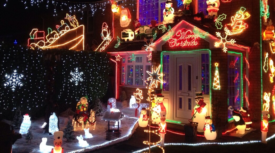 There's a little menagerie of light up animals in the front garden :)