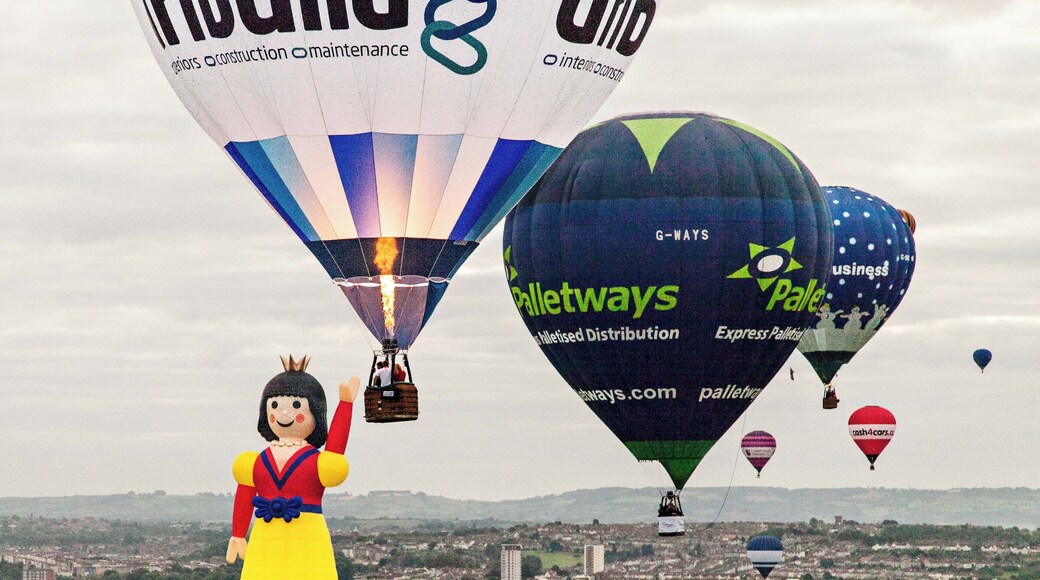 Taken while on a flight