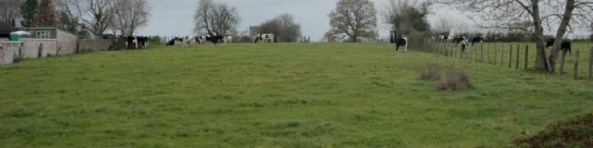 Line of the old railway from Bristol This is the line of the old GWR single track railway from Bristol to Paulton via Whitchurch, Pensford and Clutton. The field shown here is a filled in cutting.