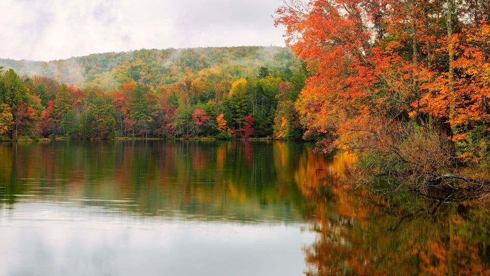 A calm lake surrounded by autumn-colored trees reflecting on the water.