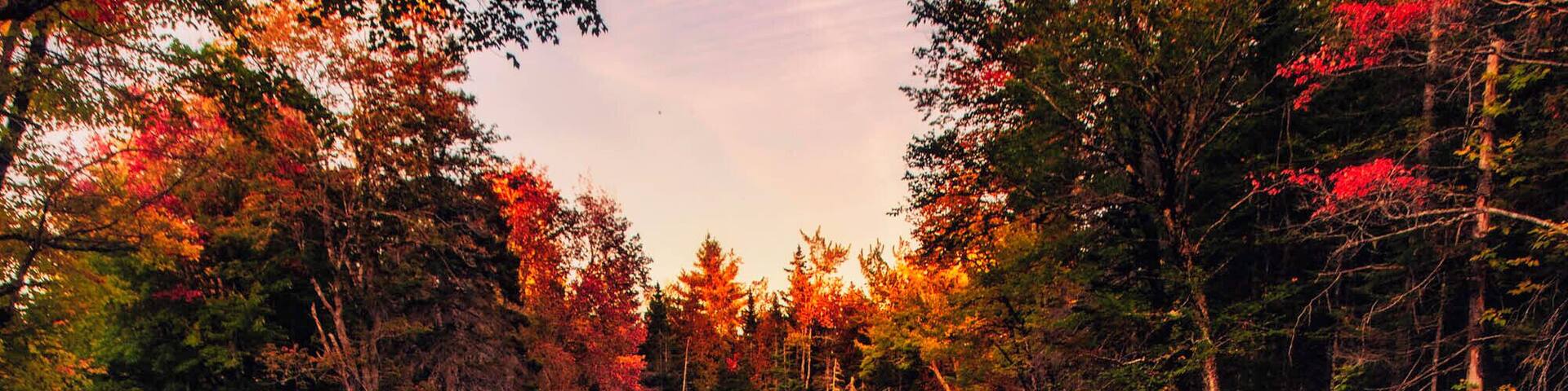 We kind-of meandered our way north, looking for Fall color or just a pretty stream. Found on here :D.