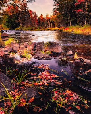 We kind-of meandered our way north, looking for Fall color or just a pretty stream. Found on here :D.