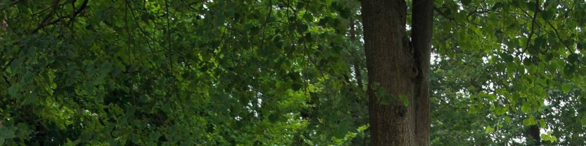 Bildstock an der Kreuzung Pater-Josef-Eckstein-Straße und Auerbergweg.