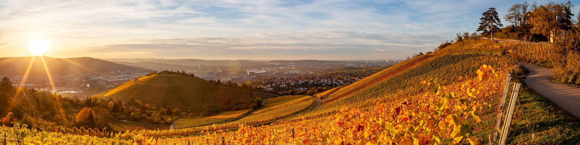 Autumn sunset view of Stuttgart sykline overlooking the colorful vineyards. The iconic Fernsehturm as well as the soccer stadium are visible. The sun is about ot set over the Neckar Valley.