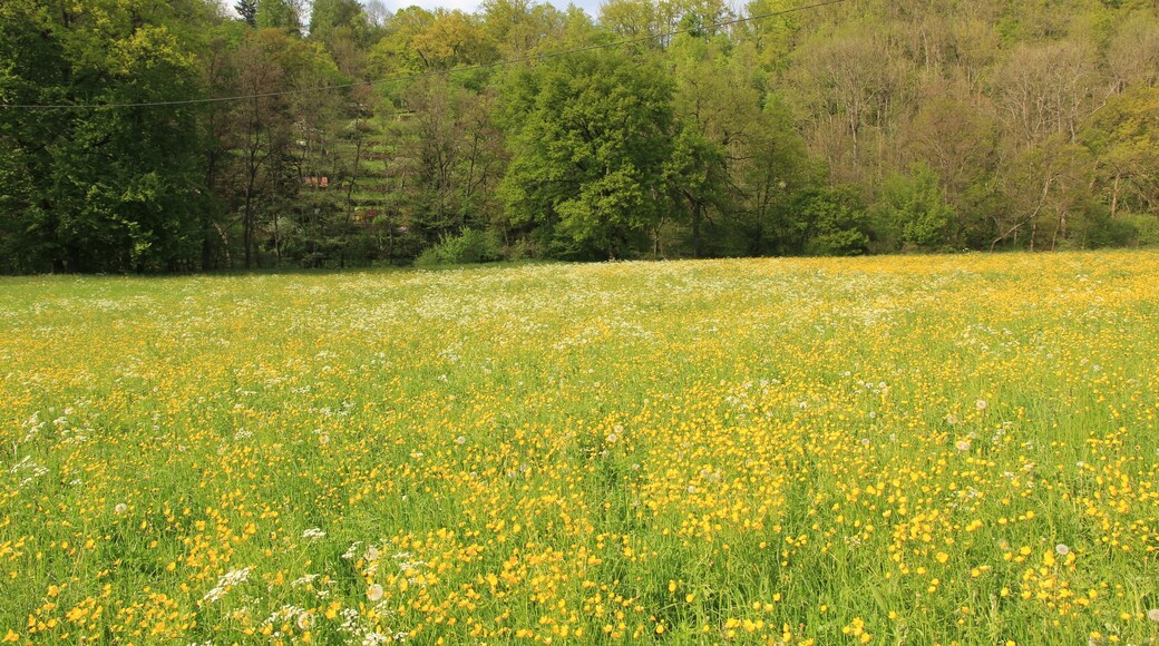 (NSG:BW-1.149)_Unteres Remstal