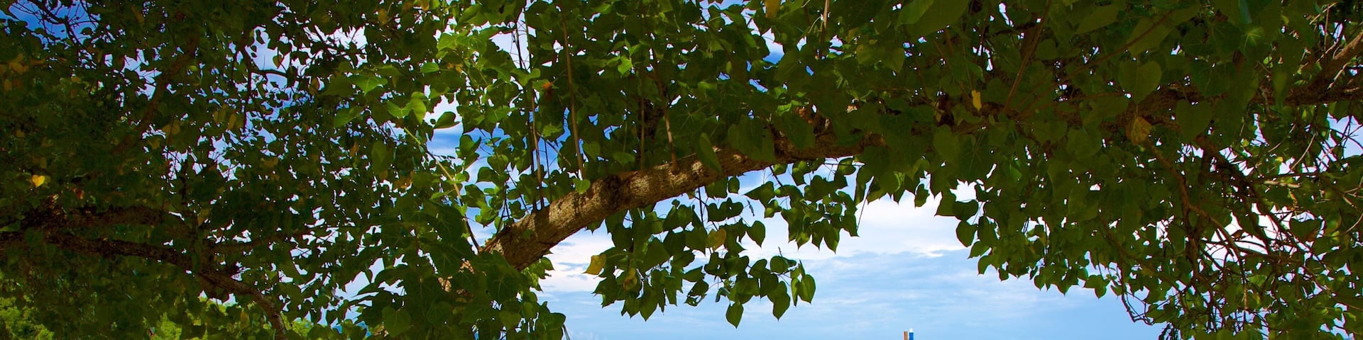 Bo Phut Beach which includes kayaking or canoeing and general coastal views