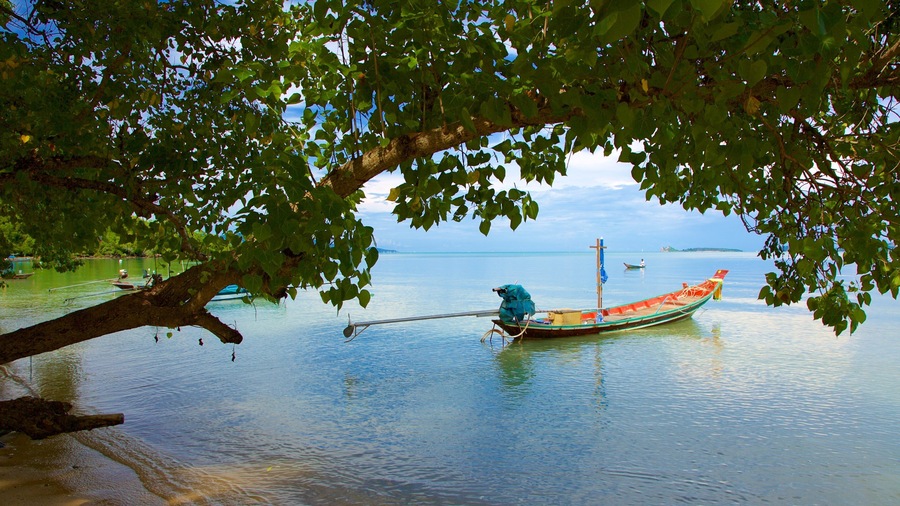 Playa de Bo Phut ofreciendo vistas de una costa y piragüismo