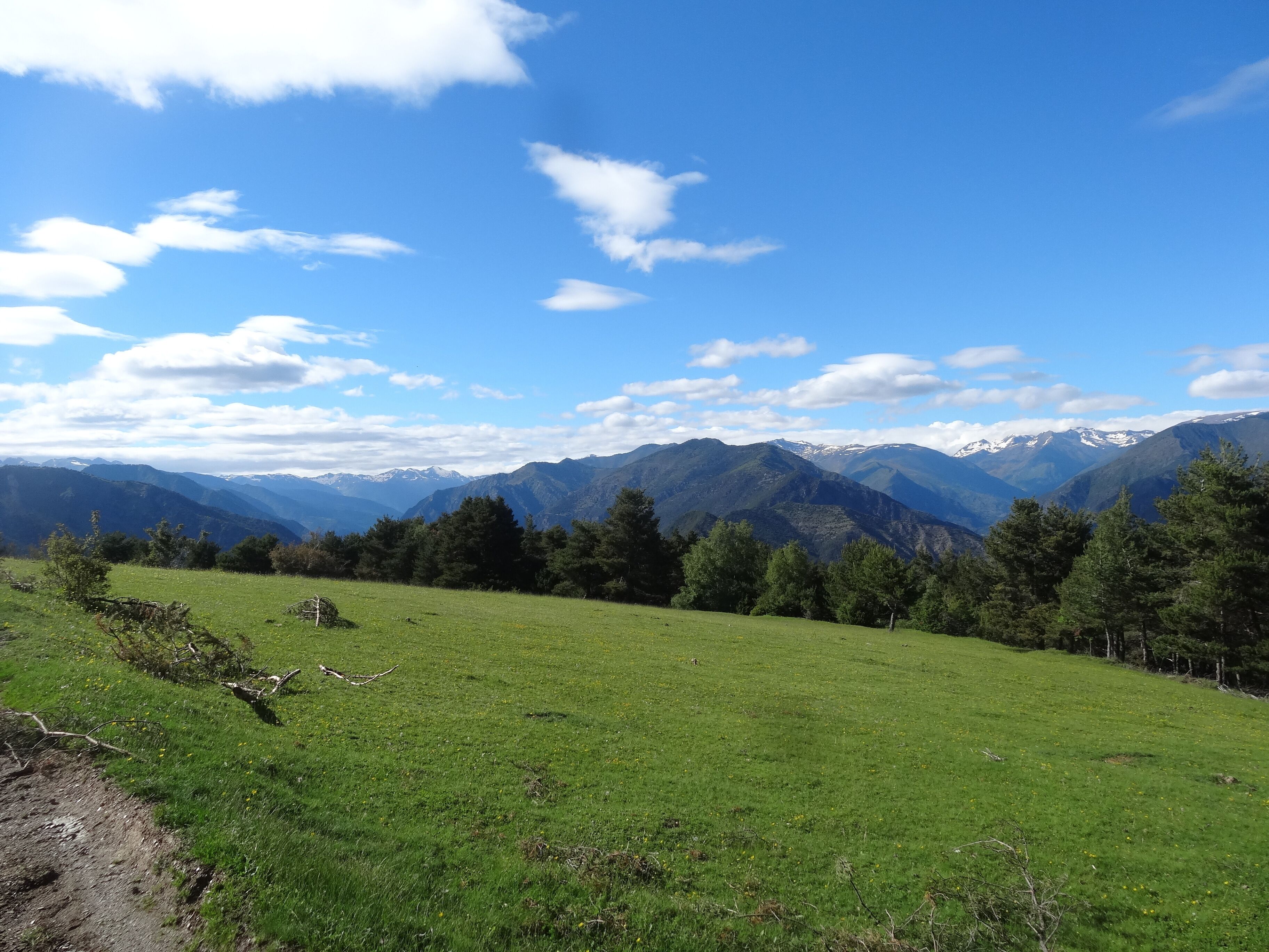 Vistes al nord des del Front del Pallars al Serrat del Farro (juny 2013)