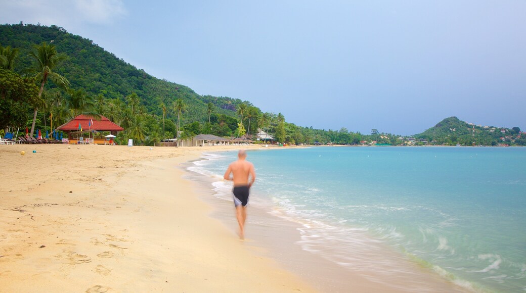 Lamai Beach which includes a sandy beach as well as an individual male