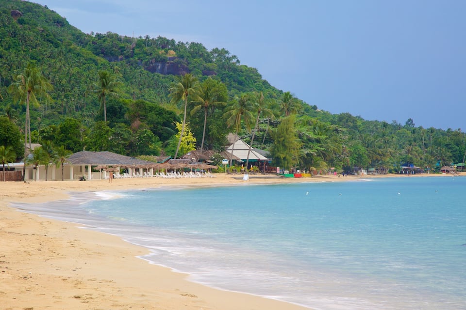 Una playa con agua azul cristalina, palmeras y una montaña al fondo.
