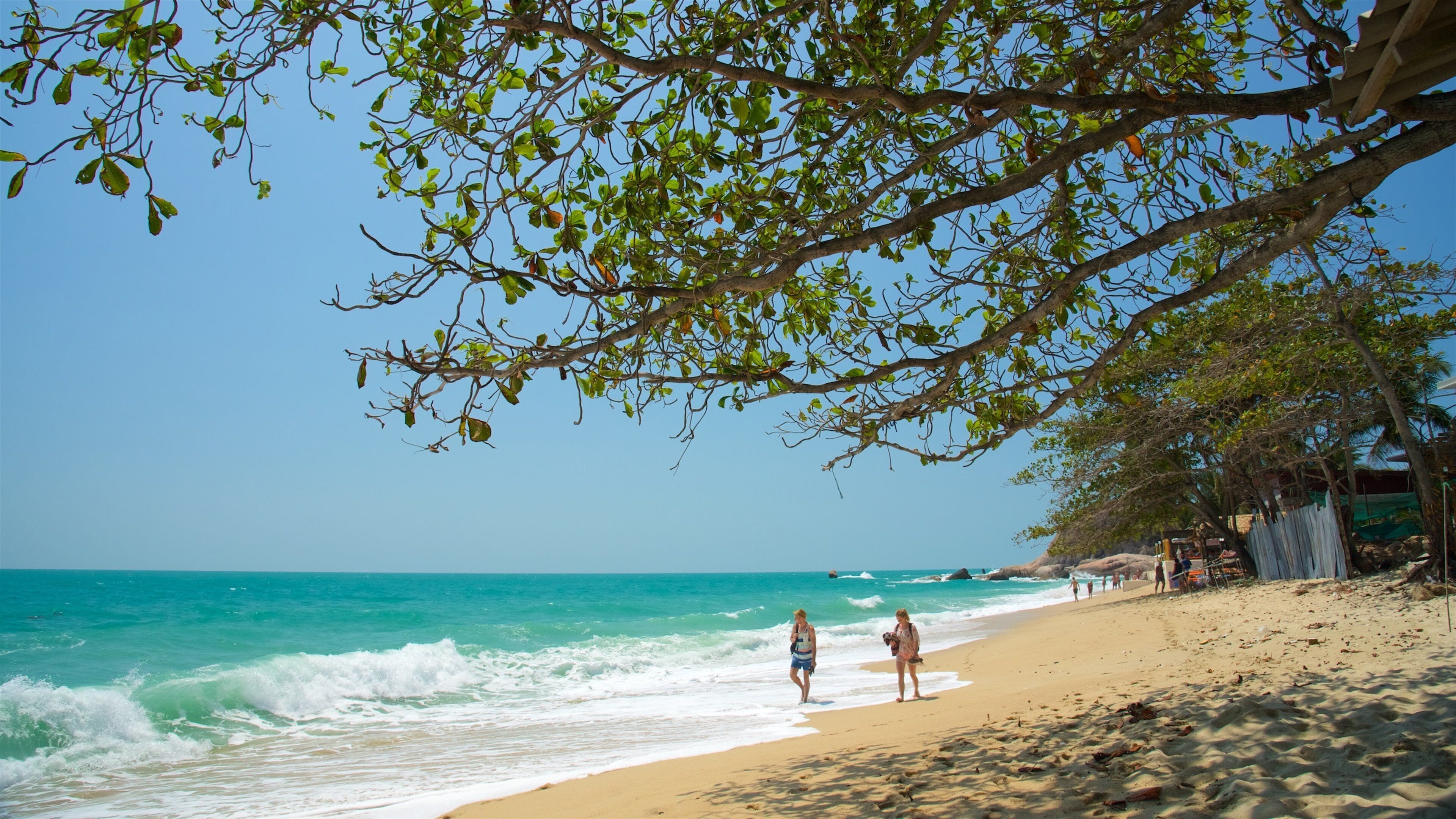 Lamai Beach featuring general coastal views, waves and a sandy beach