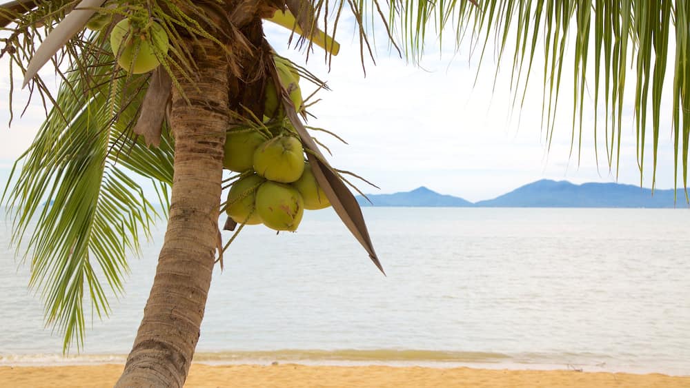 Mae Nam mit einem tropische Szenerien und Strand