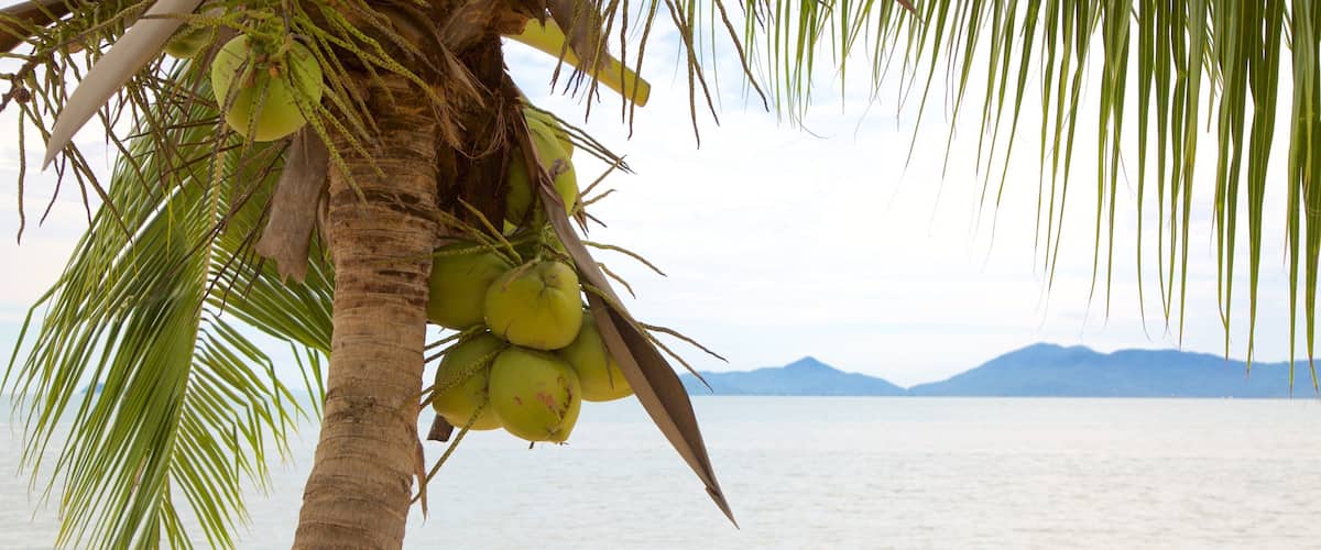 Mae Nam qui includes scĂšnes tropicales et plage de sable