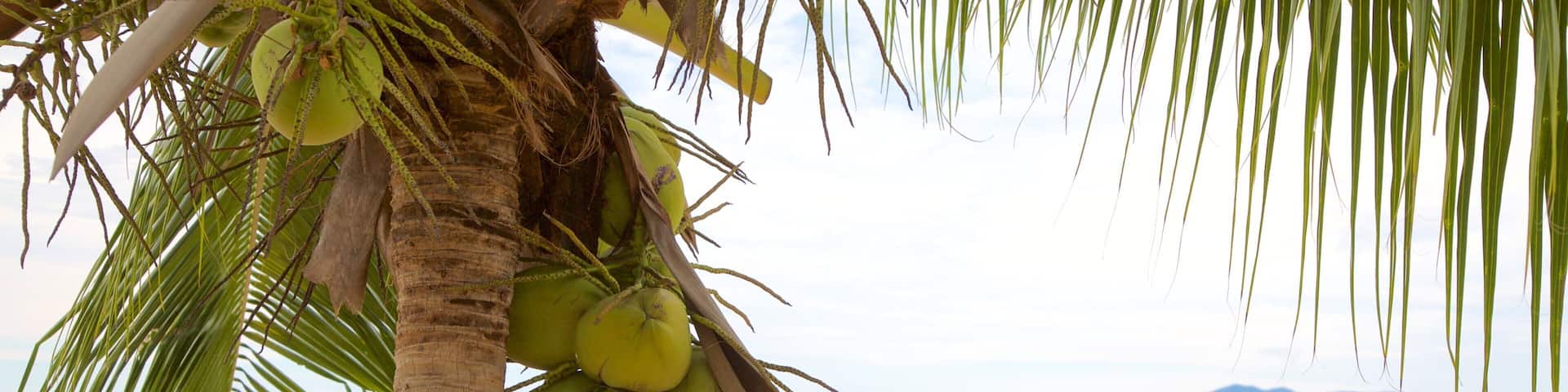 Mae Nam mit einem tropische Szenerien und Strand