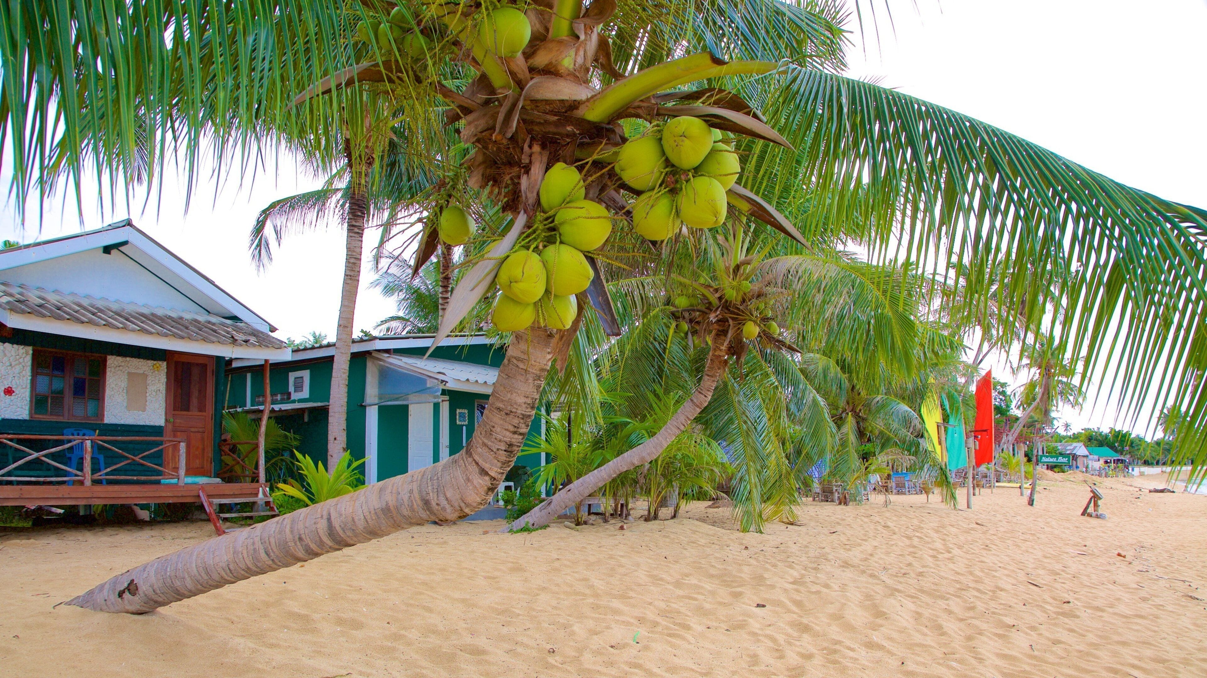 Mae Nam which includes tropical scenes and general coastal views