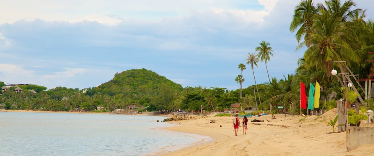 A sandy beach with palm trees, a hill in the background, and a few people walking.