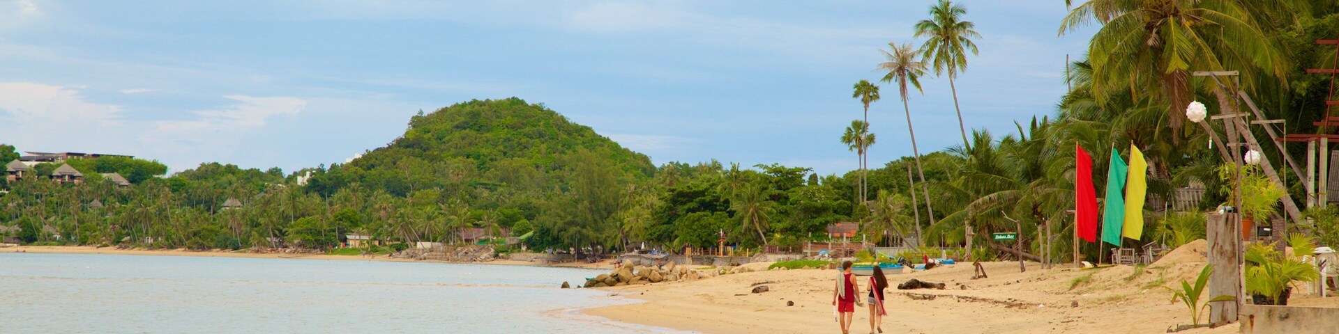 A sandy beach with palm trees, a hill in the background, and a few people walking.