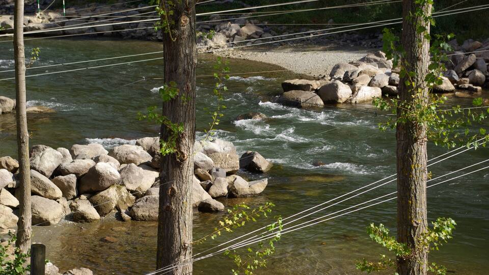 A river with clear water flowing over rocks, surrounded by trees and power lines.