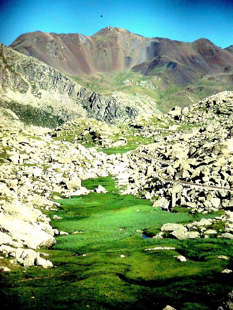 El Montorroio tot pujant al refugi de Colomina. En primer terme una torbera. Foto presa de la projecció d'una diapositiva
