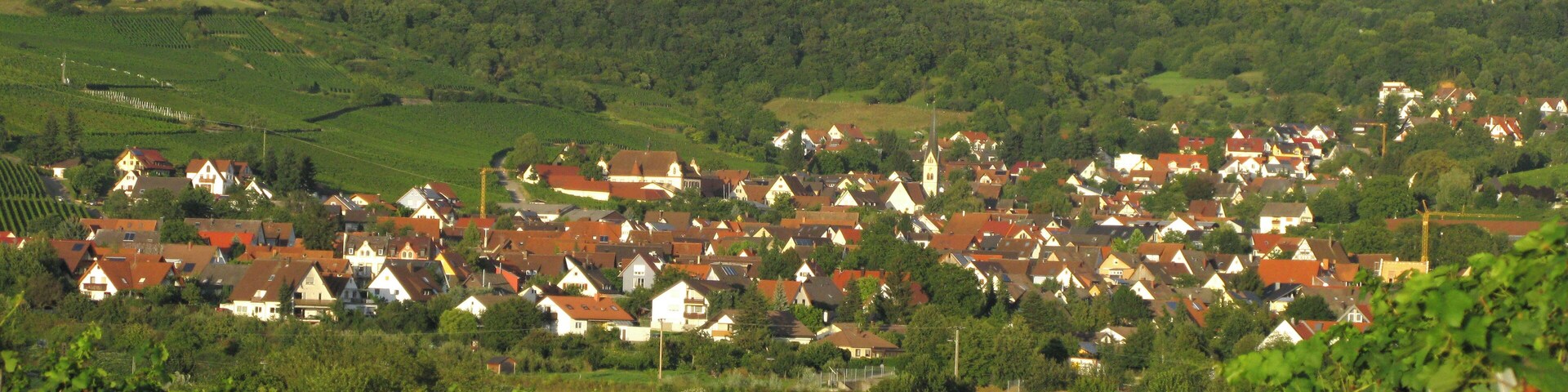 Ebringen mit Ruine Schneeburg