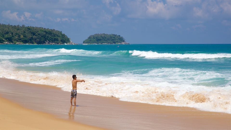 A beach with waves, a person in swim trunks, and a forested island in the distance.