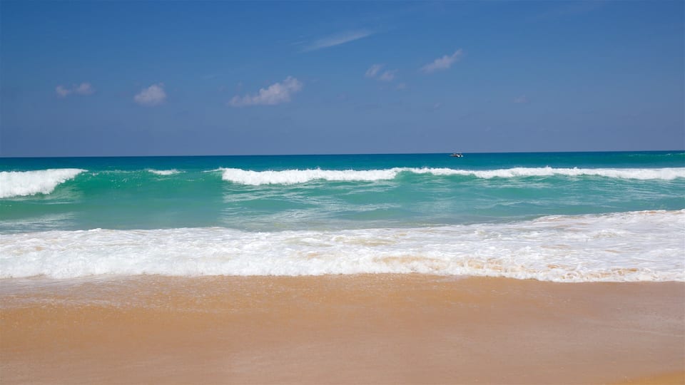 A beach with waves, a clear sky, and a boat in the distance.