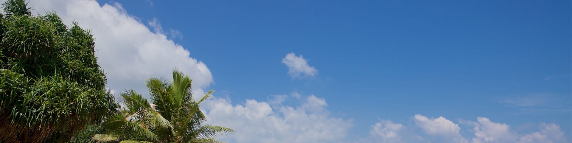 Karon Beach which includes tropical scenes, general coastal views and a beach