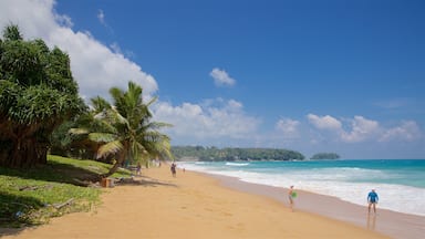 Karon Beach which includes general coastal views, tropical scenes and a sandy beach