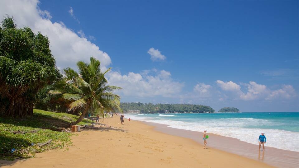 A beach with palm trees, ocean waves, and a clear sky.