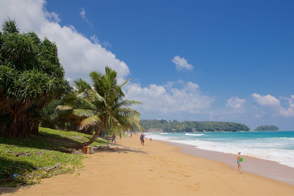 Uma praia com palmeiras, ondas do mar e céu claro.